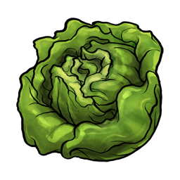 wild-cabbage # 101038