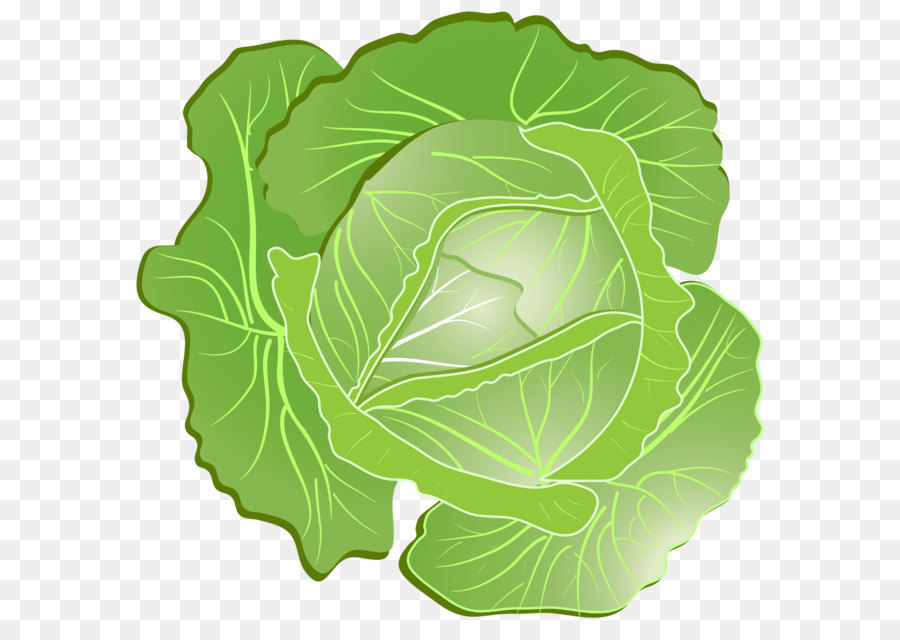 wild-cabbage # 120641